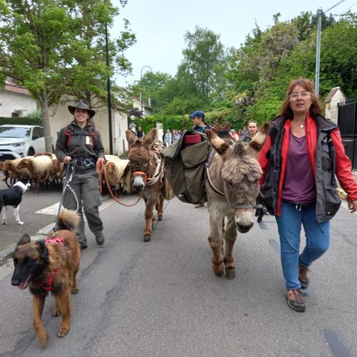 transhumance_2022